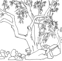 张郎中梅园中