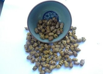 金星草