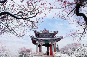 过囊山寄宏师