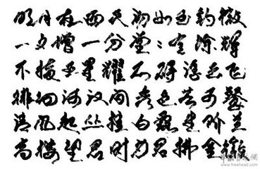 明月谣