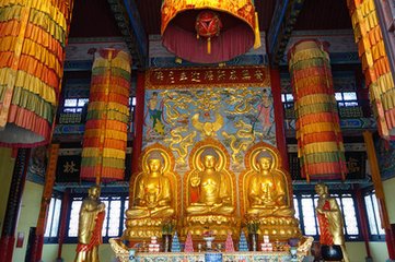 重别何谢二子罗汉寺