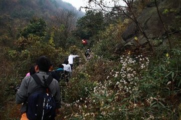 春日野行