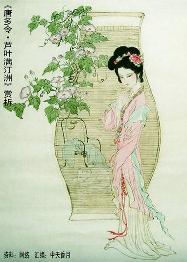 唐多令·芦叶满汀洲