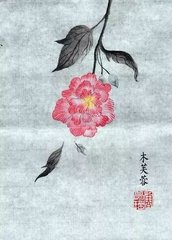 初别子由