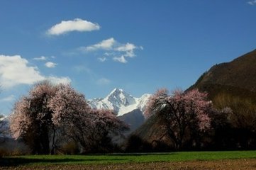 初春出游