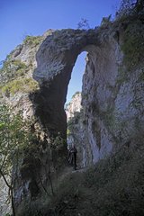 天台渡