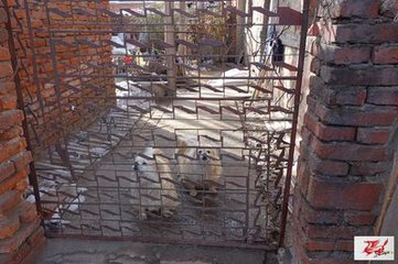 营卫生会