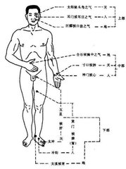 三部九候论