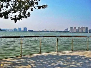 次韵秦观秀才见赠秦与孙莘老李公择甚熟将入
