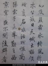 春陪商州裴使君游石娥溪 时欲东游遂有此赠