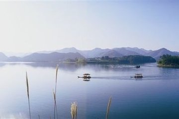 赠桐庐房明府先辈
