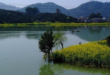 马头渡