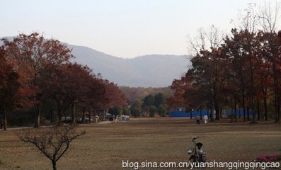 垦山叟