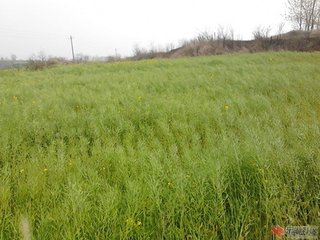 谢襄阳陶宰惠靖节先生编年大本
