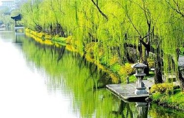【黄钟】愿成双_梅脸退，柳