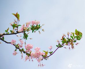 母氏立春日庆七十