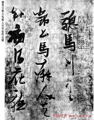 骢马行