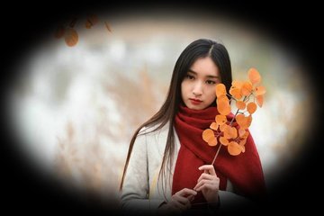 感怀（一作感情）