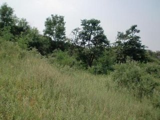 巫峡敝庐奉赠侍御四舅别之澧朗