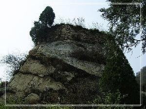 玄都坛歌，寄元逸人