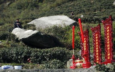 送略禅者归南岳
