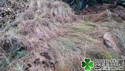 度南涧