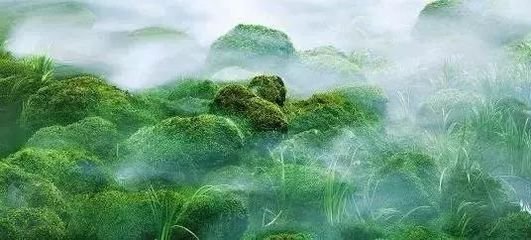 九月中曾题二小诗於南溪竹上，既而忘之，昨