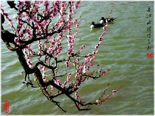 鹧鸪天（翁广文席上）