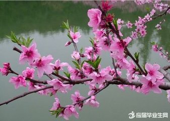 寄朗州温右史曹长