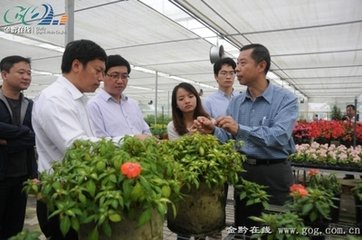 送王澹