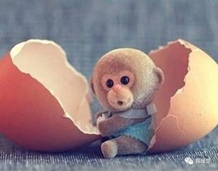 赐易数胡一鉴