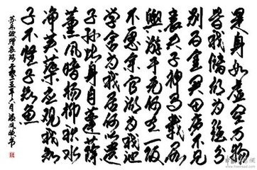 赠袁陟
