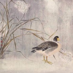 雨不绝