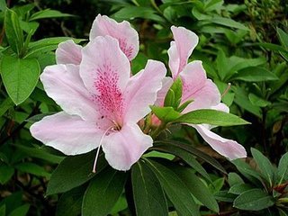 眼儿媚（钱别）