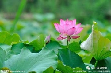 送翁灵舒赴越帅分韵得欲字