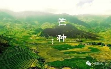闻庾七左降因咏所怀