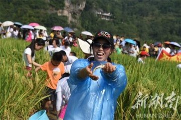 摸鱼儿·醉之乡