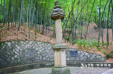送进士苏瞻乱后出家