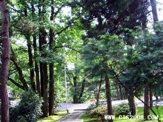 向以书戏邦衡云某自庐山游西山当就迎公召节