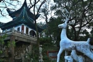 过济源登裴公亭