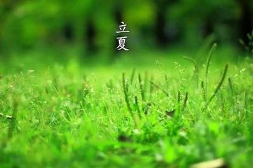 蝼蛄