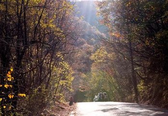 沣上醉题寄涤武
