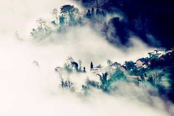 采桑子·谁将一点凄凉意