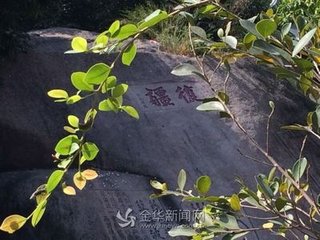 祠禄满不敢复请作口号