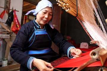 双江公分粟