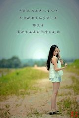 夏日寓居寄友人