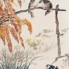 西江月（十二首）