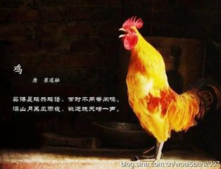 东村散步有怀张汉州
