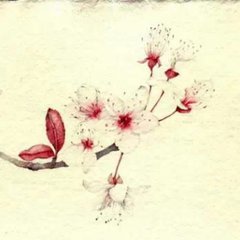 和孔密州五绝 春步西园见寄