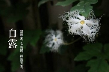 韩十八侍御见示岳阳楼别窦司直诗…自述故足成六十二韵